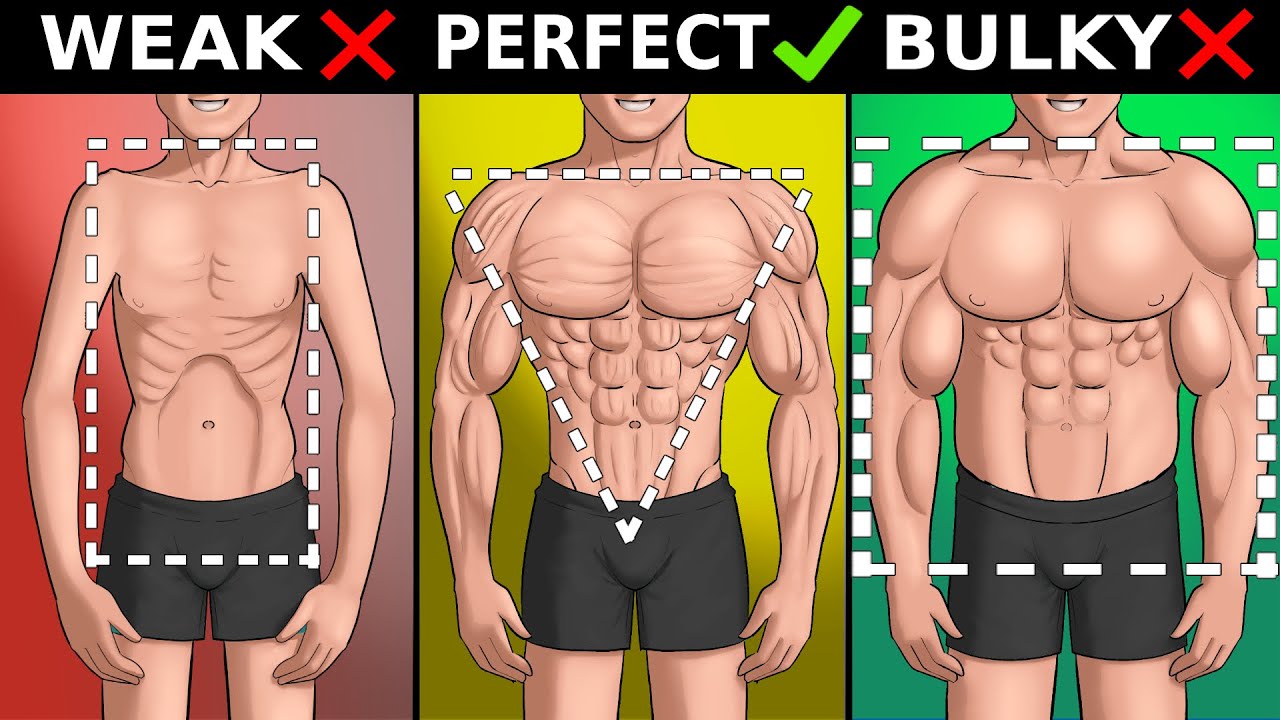 Ideal Body Proportions Guide