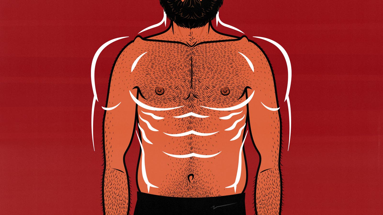 Shoulder-to-Hip Ratio Explained
